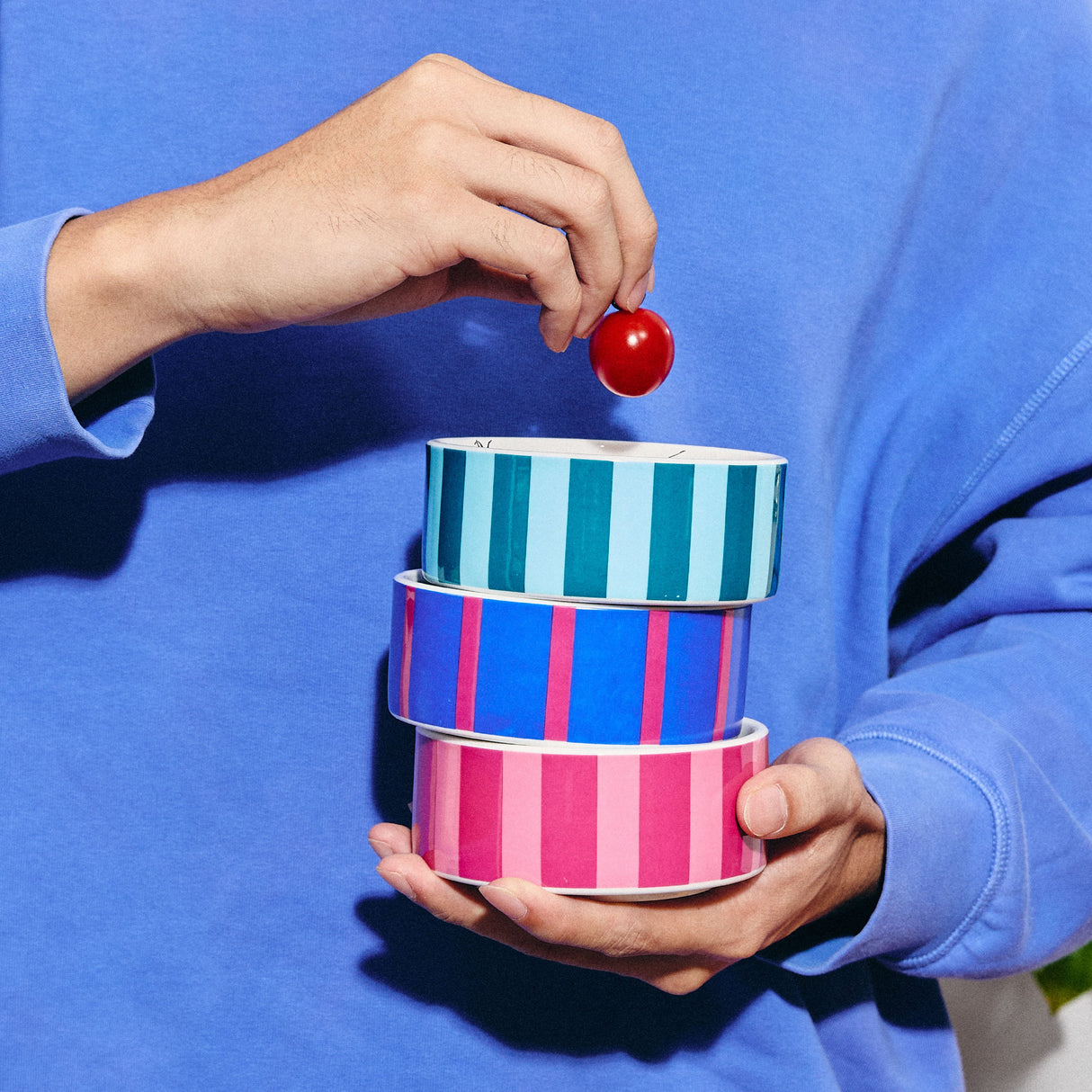 Sardine Bowl Stack Sardine Bowl Stack