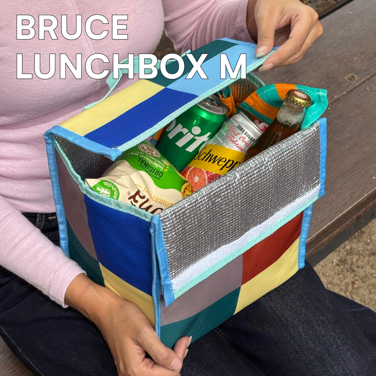 Sardine Lunch Box