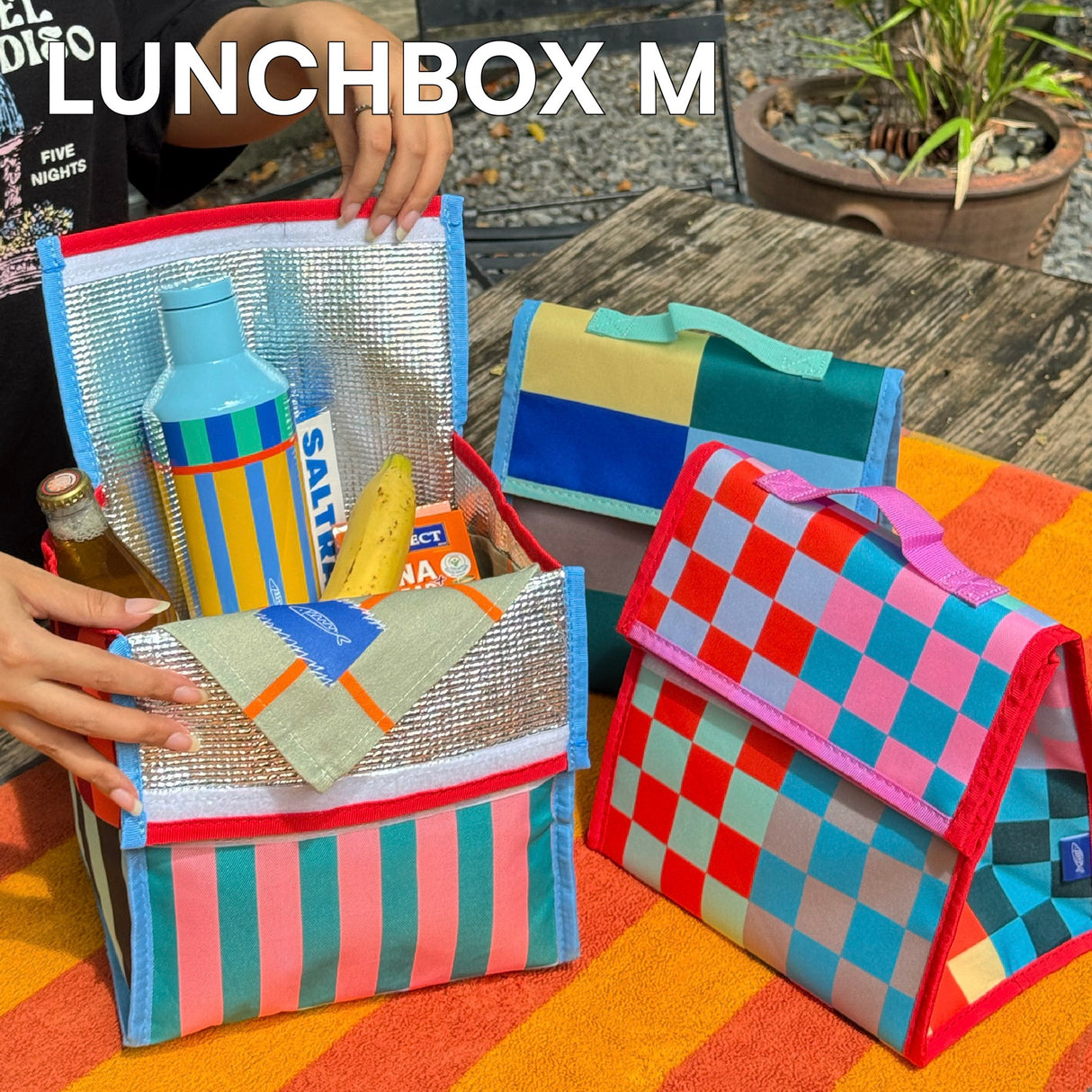 Sardine Lunch Box