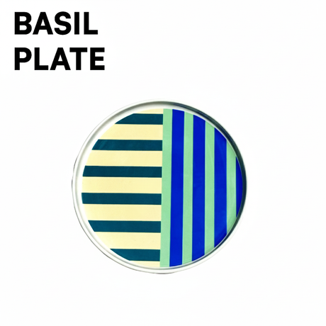 Sardine 10" Ceramic Plate