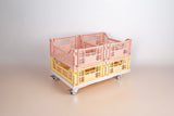 Aykasa Trolley Base